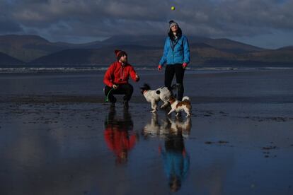 Cathal King, veterinario de 31 años y Jessica O'Connor, estudiante de 28 años de último año de veterinaria en Budapest (Hungría) posan junto a sus perros en la playa de Rossbeigh (Ireland), el 4 de febrero de 2018. Nos conocimos jugando al Rugby en Killarney, los dos somos personas muy activas, nos gusta la aventura, las carreras, el senderismo y nos encanta viajar. Llevamos juntos tres años y medio. Yo crecí aquí en Rossbeigh, por eso estamos aquí" cuenta Cathal. 