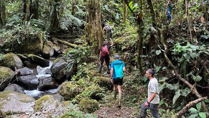 Un grupo de investigadores durante una expedición a través del Bosque Protector Los Cedros, en Ecuador.