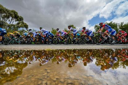 Los ciclistas que forman el pelotón pedalean cerca de Cudlee Creek (Australia) durante la tercera etapa del Tour Down Under.