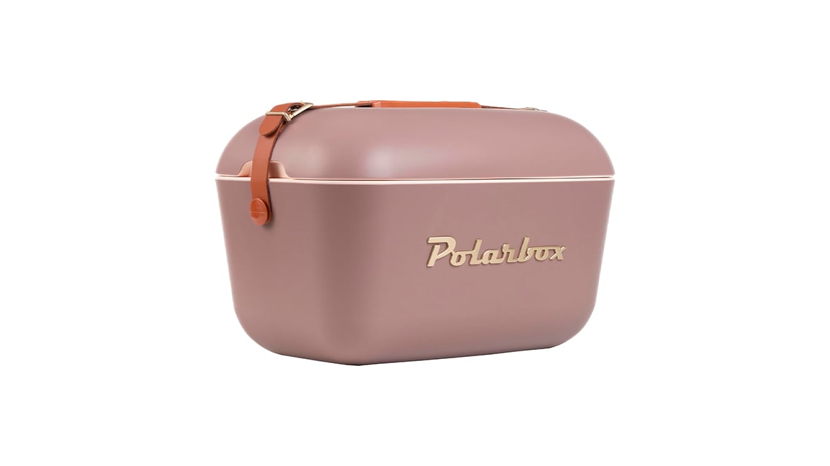 Nevera Polarbox de 12 litros.