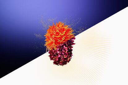 El cártamo de mogami, conocido por sus propiedades antioxidantes y circulatorias, y el extracto de Burnet, que contribuye a mejorar las paredes musculares de la piel, dan forma a la innovadora tecnología de Vital Perfection Concentrated Supreme Cream de Shiseido.