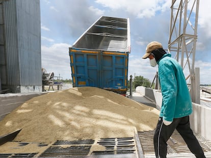 Un camión descarga cebada en un almacén de grano en la región de Odesa, el mes pasado.