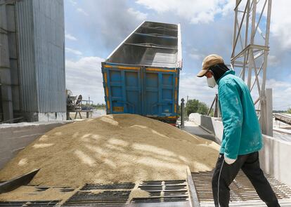 Un camión descarga cebada en un almacén de grano en la región de Odesa, el mes pasado.