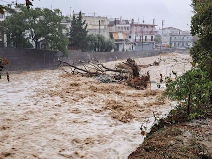 Un árbol cae en un río durante la tormenta 'Daniel' este martes en Volos. 