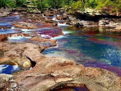 Ca&ntilde;o Cristales, Colombia. 