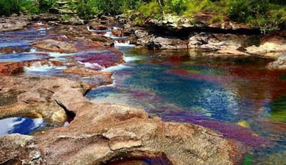 Ca&ntilde;o Cristales, Colombia. 