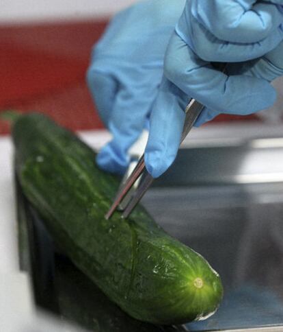 Un experto analiza un pepino en un laboratorio de la oficina estatal para la seguridad agrícola y alimentaria de Mecklenburg-Vorpommern, en Rostock (Alemania)