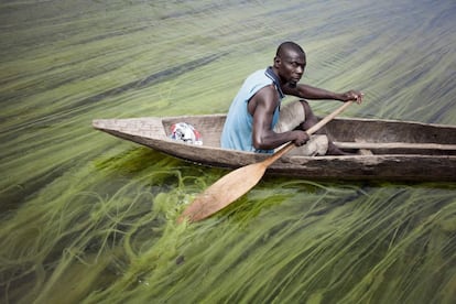 Matthias, um pescador refugiado, vai trabalhar no rio Oubangui. Neste momento, a comunidade humanitária estima que quase metade dos 4,6 milhões de centro-africanos sofrerá insegurança alimentar em 2018. No total, cerca de 2,5 milhões de pessoas precisam de assistência humanitária.