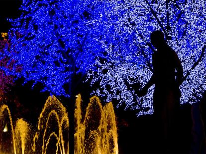 Árboles iluminados y abetos en todos los distritos