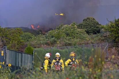 Medallas Fields incendios forestales