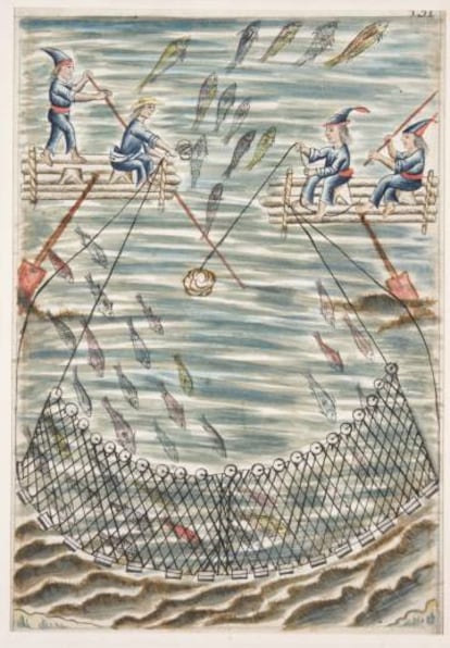 Una de las láminas del Codex Trujillo.