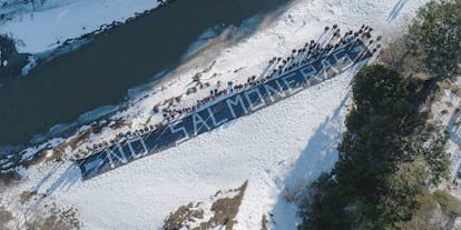 Protesta contra las salmoneras el pasado sábado en Ushuaia.