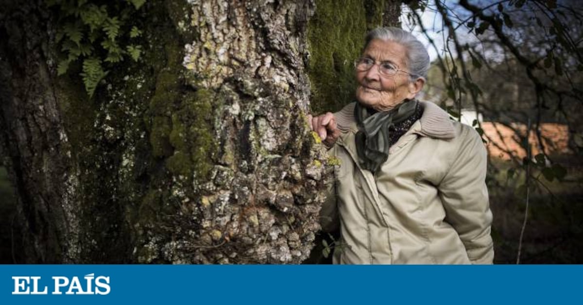 Goyas 2020: Benedicta Sánchez, una nueva vida de cine a los 84 años | Cultura | EL PAÍS