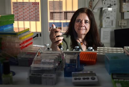 Laura López-Mascaraque, in her laboratory.