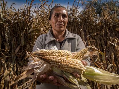 Una agricultora muestra su cosecha de maíz en Ciudad de México, en marzo pasado.