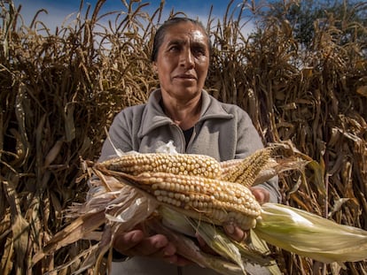 Una agricultora muestra su cosecha de maíz en Ciudad de México