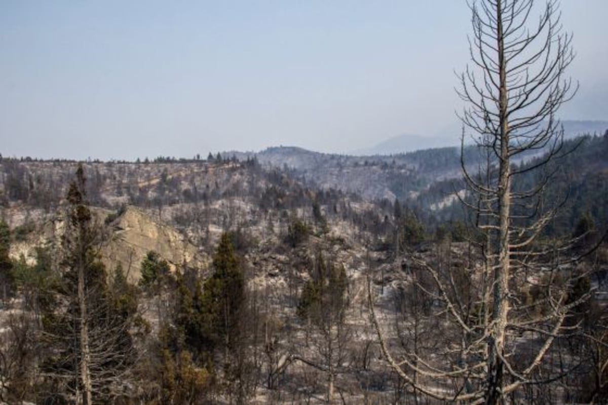 El incendio en la Patagonia argentina se extiende | Internacional | EL PAÍS