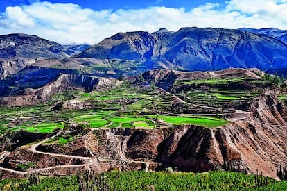 El cañón del Colca, el más profundo del mundo, en Perú.