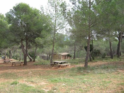 El área recreativa de Les Aliguetes, en el municipio de Serra.