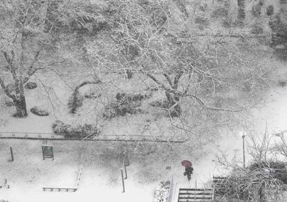 Un hombre camina por un parque en Tokio, donde la nieve ha alcanzado los 2 centímetros de espesor.