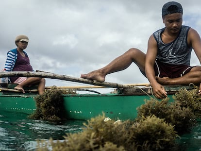 Armonía entre corales, peces y pesca