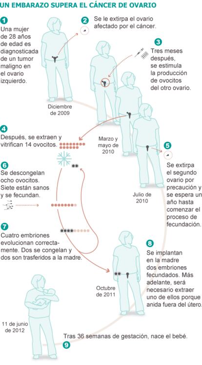 Fuente: elaboración propia.