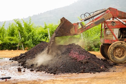 Bodegas Enguera en Valencia