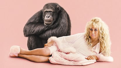 Tonia Haddix, protagonista del documental Chimp Crazy, es una traficante de monos a los que trata como si fuera su madre.