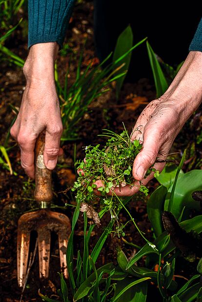 Sue Stuart Smith trabaja en su huerta.