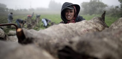 Campesinos trabajan en sus parcelas, este martes, 29 de octubre, en la zona de Tierra Blanca de Cartago al este de San José (Costa Rica).