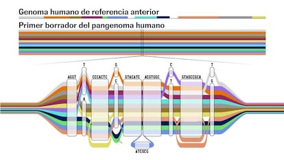 Si el genoma de referencia de 2003 es una secuencia lineal, el nuevo pangenoma humano es como un mapa de caminos.