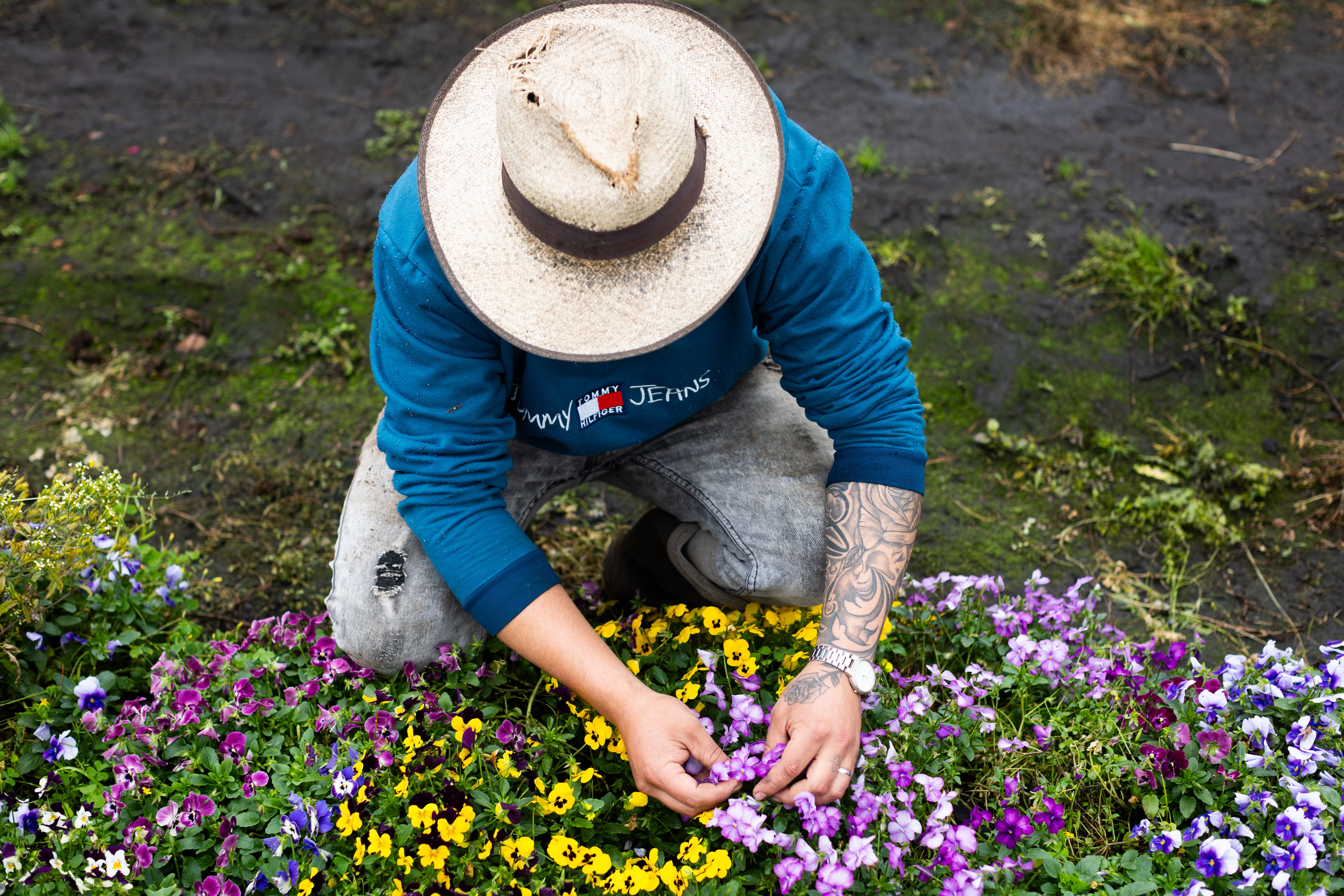 Colombia todavía no sabe que puede comerse sus flores