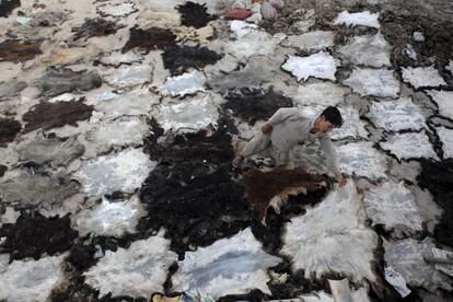 Un trabajador seca pieles en una fábrica en Mazar-e Sharif (Afganistán).
