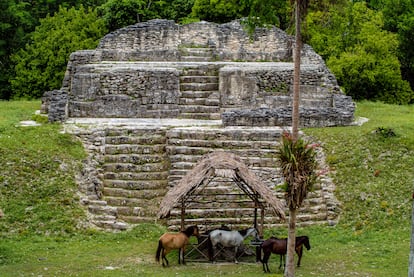 Uno de los templos mayas del yacimiento Uaxactún (Guatemala).