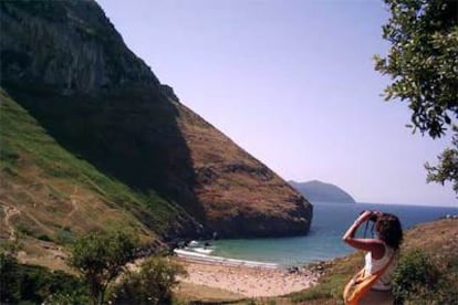 Una joven mira con prismáticos a los buitres de la colonia que vive junto a la playa de Sonabia, en Cantabria.