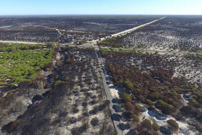 Vista aérea de Doñana dos meses después del incendio.
