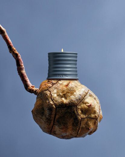El tamaño pequeño de la vela Cypress Balls, de Loewe Home Scents.