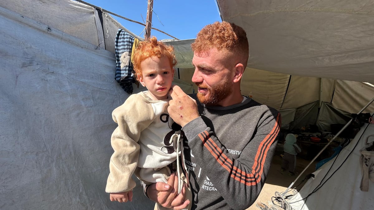 The return of premature babies evacuated to Egypt from Gaza: I will never forget that message saying my daughter was alive'