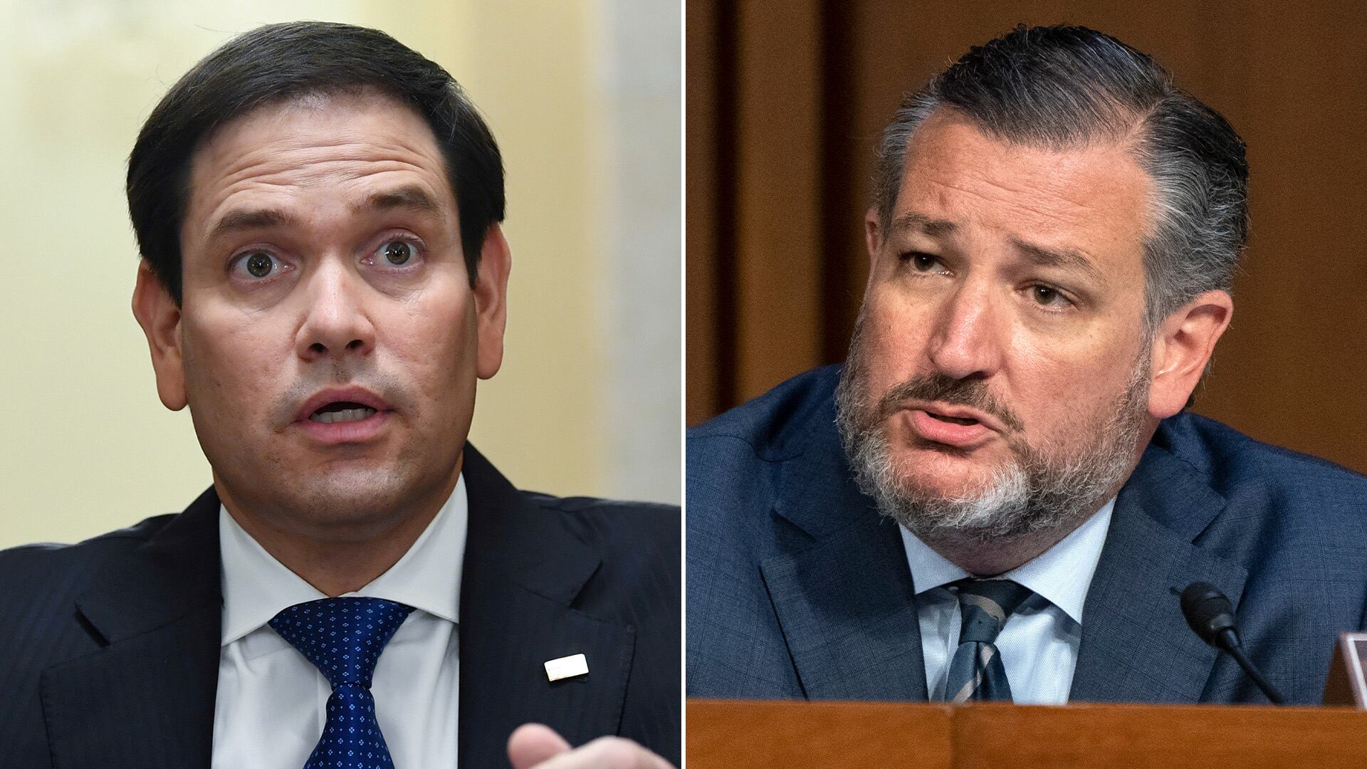 Los congresistas republicanos estadounidenses Marco Rubio y Ted Cruz.