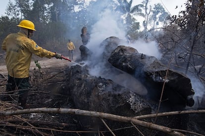 El pasado 15 de agosto, un trabajador apaga un fuego en la reserva del Amazonas, al sur de Novo Progresso, en el estado de Para, en Brasil.