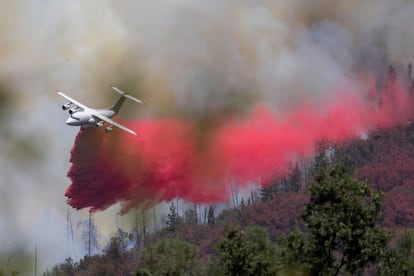 Oak Fire, California