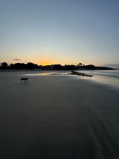 Playa de Canelas al anochecer.