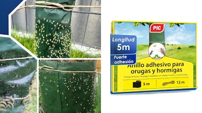 trampa orugas procesionaria pino para instalar hasta en 11 árboles distintos.