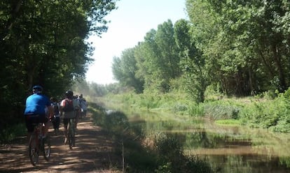 Ciclistas junto al Canal de Castilla.