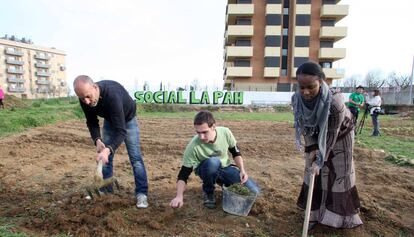 Miembros de la PAH preparan un huerto junto al bloque ocupado en Salt.