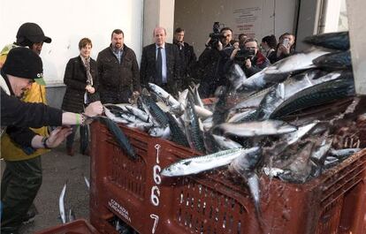 La consejera Atantza Tapia asiste a la descarga de verdel en la cofradía de pescadores de Hondarribia.