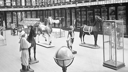 Restos humanos y otras piezas en el museo del doctor Velasco, hoy Museo Nacional de Antropología, hacia 1875.