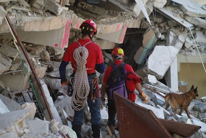 Agentes de la Ertzaintza y perros guía participan en Puerto Príncipe en las labores de rescate de los afectados por el terremoto de Haití.