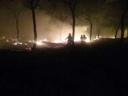 Bomberos forestales trabajan en el incendio en Moguer (Huelva).