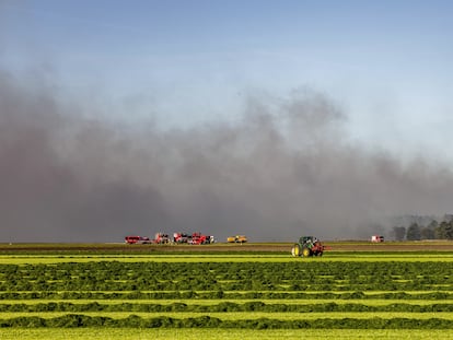 Países Bajos incendios forestales